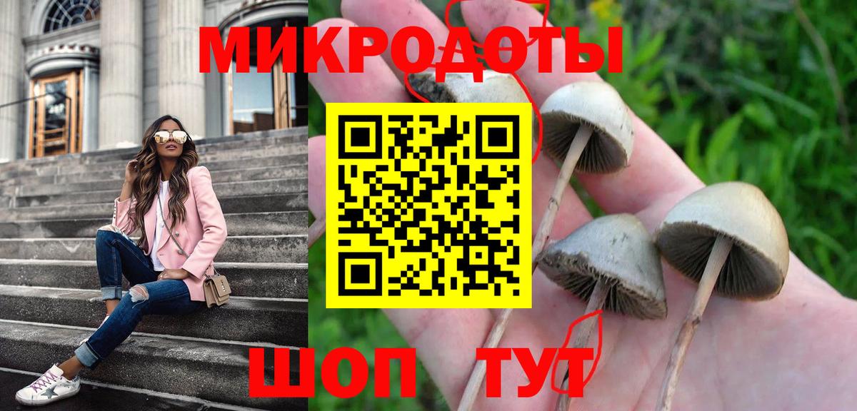 Электрогорск  Галлюциногенные грибы Magic Shrooms  Галлюциногенные грибы мицелий  Вход с VPN 